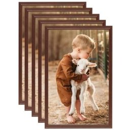 Vidaxl - Collage de cadres photo 5pcs au mur table Marron 59,4x84 cm mdf Brown