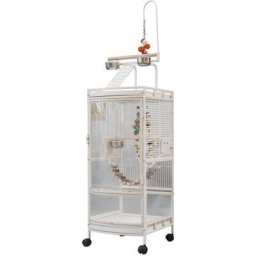 Grande Volière pour Oiseaux Cage à Roulettes avec 4 Mangeoires acier inoxydable - Bathrins