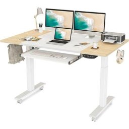 Bureau Assis Debout Électrique à 2 Moteurs - 160*60 cm Bureau Table Réglable en Hauteur avec