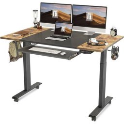 Bureau Assis Debout Électrique à 2 Moteurs - 120*60 cm Bureau Table Réglable en Hauteur avec