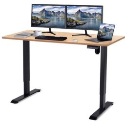 Devoko - 160CM Bureau debout réglable en hauteur avec moteur électrique, bureau d'ordinateur,