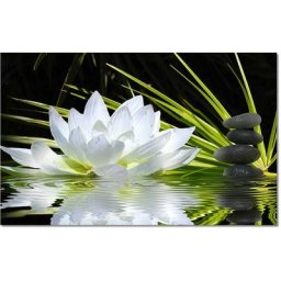 Tableau deco ambiance zen et fleur de lotus - 80x50 cm
