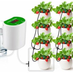 Système d'arrosage automatique pour plantes en pot, kit d'irrigation goutte à goutte avec minuterie