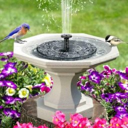 Fontaine Solaire Extérieur, Pompe à Eau Bassin Solaire avec Fontaine, Mini Fontaine Flottante avec