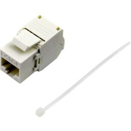 RJ45 femelle cat 6 Tru Components 93038C369 RJ45 femelle, droit blanc 1 pc(s) S935421