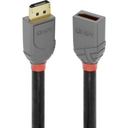 DisplayPort Rallonge Fiche mâle DisplayPort, Prise femelle DisplayPort 1.00 m anthracite, noir,