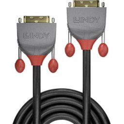 LINDY DVI Câble de raccordement Fiche mâle DVI-D 24+1 pôles, Fiche mâle DVI-D 24+1 pôles 2.00 m