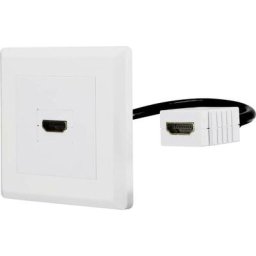 Renkforce - RF-4538136 hdmi Adaptateur [1x hdmi femelle - 1x hdmi femelle] blanc contacts dorés