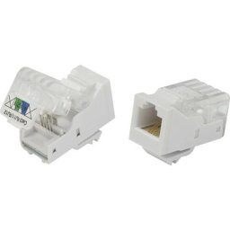 Fiche modulaire femelle, sans outils Tru Components 817968 RJ14 femelle, droit naturel 1 pc(s)