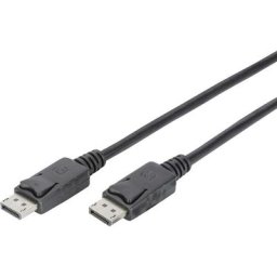 Digitus - DisplayPort Câble de raccordement Fiche mâle DisplayPort, Fiche mâle DisplayPort 2.00 m