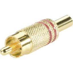 Cinch/RCA mâle, droit Bkl Electronic 0101003/R Nombre de pôles (num): 2 rouge 1 pc(s) D12575