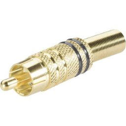 Cinch/RCA mâle, droit Bkl Electronic 0101006 Nombre de pôles (num): 2 noir 1 pc(s) D12298