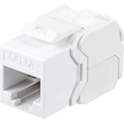 Réseau informatique Adaptateur cat 6a [1x RJ45 femelle - 1x RJ45 femelle] A836722 - Renkforce