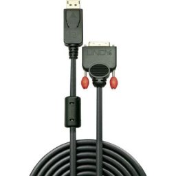 Lindy - DisplayPort / dvi Câble adaptateur Fiche mâle DisplayPort, Fiche mâle dvi-d 24+1 pôles 2.00