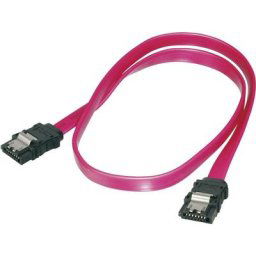 Digitus - Câble de connexion du disque dur 2 connecteurs sata femelles 7 broches - 0,50 m - Rouge