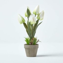 Tulipes artificielles blanches en pot en pâte à papier 27 cm - Blanc - Homescapes