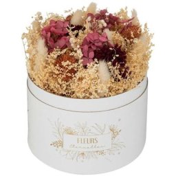 Atmosphera - Boîte fleurs séchées Night ivoire créateur d'intérieur - Ivoire