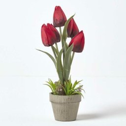Tulipes artificielles rouges en pot en pâte à papier 27 cm - Rouge - Homescapes
