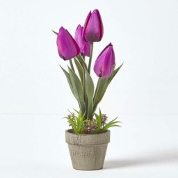 Tulipes artificielles violettes en pot en pâte à papier 27 cm - Violet - Homescapes