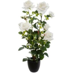 Atmosphera - Rosier artificiel - pot en ciment - H74 cm créateur d'intérieur - Blanc