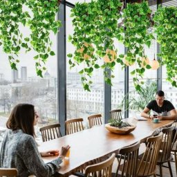 4 pièces Plantes artificielles suspendues - 90 cm Faux Lierre Plante Faux Suspendu Verdure