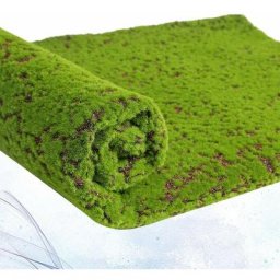 Simulation de Lichen de Mousse Artificielle Fausses de Fausses Plantes Vertes pour La Décoration de