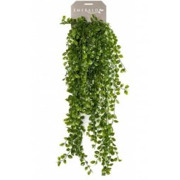 Emerald - Ficus Pumila artificiel 80 cm Vert