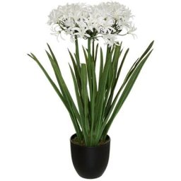 Agapanthe artificielle H66 cm Atmosphera créateur d'intérieur - Blanc