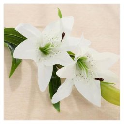 1 Bouquet Fleur Artificielle Fleurs Artificielles Lys en Plastique pour Maison Deco Mariage