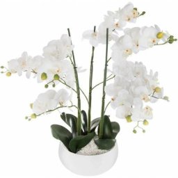 Atmosphera - Orchidée pot céramique blanc H65 créateur d'intérieur - Blanc