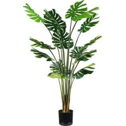 Plante monster h. 170 cm 16 feuilles