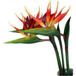 Lot de 3 grands oiseaux de paradis - 81.3 cm - Fleurs permanentes résistantes aux uv - Ne se