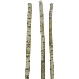 Aubry Gaspard - Troncs de bouleau décoratifs (Lot de 3) - Naturelle