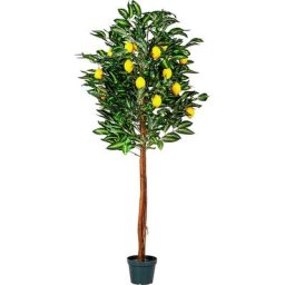 Citronnier artificiel 180 cm, tronc en bois véritable, 30 branches & 20 fruits - Plantasia