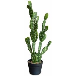 Alice's Garden - Plante artificielle. cactus. intérieur. 72cm. mousse - Vert