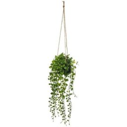 Suspension en Ciment pour Living Atmosphera créateur d'intérieur - Vert