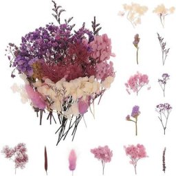 Violet) Bouquet de fleurs séchées naturelles Décoration de fleurs pressées pour le bricolage