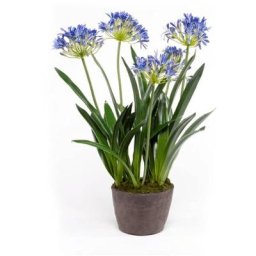 Agapanthe artificiel 75 cm Bleu Emerald Bleu