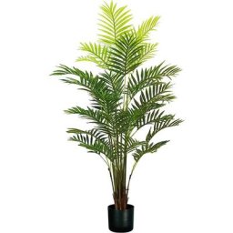 Plantes de palme d'areca h. 160 cm 33 feuilles