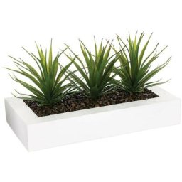 Centre de table - 3 Aloe Vera - h 17 cm Atmosphera créateur d'intérieur - Blanc