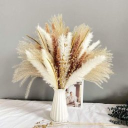 Lot de 80 fleurs séchées pour la décoration, bouquet de fleurs séchées naturelles Pampa blanche