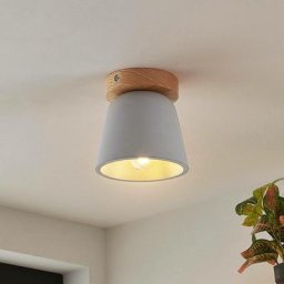 Plafonnier en béton à intensité variable 'Otavis' en bois pour salon & salle à manger - bois clair,