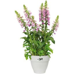 Bac à fleurs rond ou carré jardinière Blanc en plastique pour extérieur jardin terrasse pot de