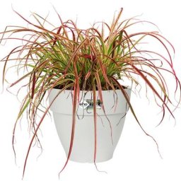 Bac à fleurs rond ou carré jardinière Blanc en plastique pour extérieur jardin terrasse pot de
