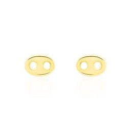 Boucles D'oreilles Puces Cara Grain De Cafe Or Jaune