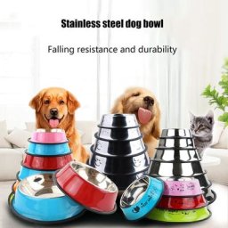 Filles en acier inoxydable multi-style pour animaux de compagnie prévention des chutes durable bol