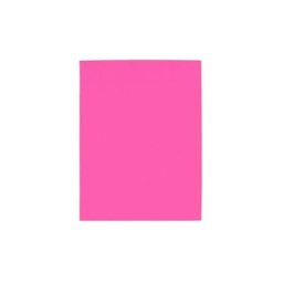 Chemise recyclée Exacompta 24 x 32 cm fuschia - Paquet de 100 - Rose