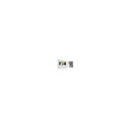 Kit visiophone V250 RTS, filaire - SOMFY -