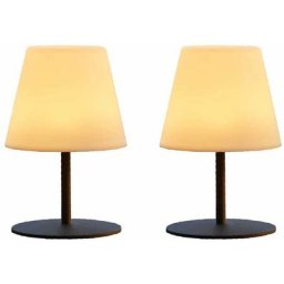 Lumisky - Pack de 2 Lampes de table sans fil pied en acier gris led blanc chaud/blanc dimmable