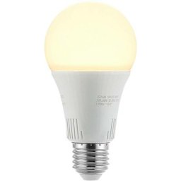Led Ampoule E27 à intensité variable 'E27 led 15W